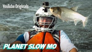 Flying Fish to the Face in Slow Motion