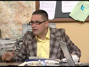 233 Stršljenovi