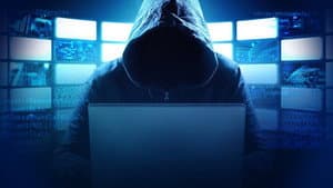 Fighting Cyber Criminals