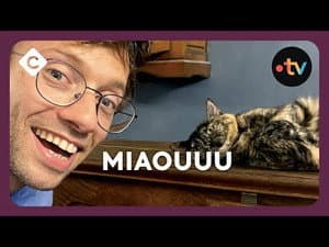 Episode 78