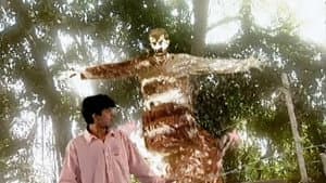 Leela Laal Rang Ki
