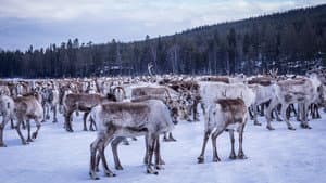The Land of the Snow and Ice