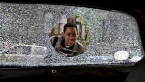 Everybody Hates the Car