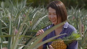 Pineapple Power