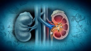 Urology