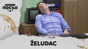 2302 Želudac