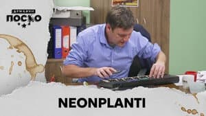 2490 Neonplanti