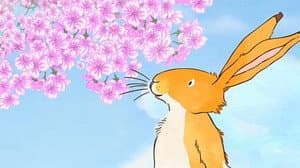 Blossoms