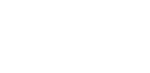 Berlin Station