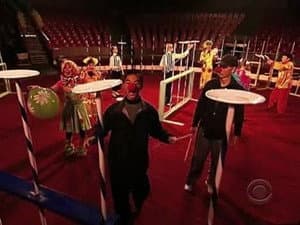 I Want to Be in the Circus, That's Where I Belong