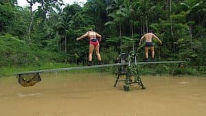 Celebrity Seesaw