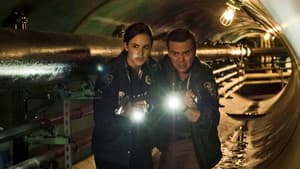 The Fugitive (1)