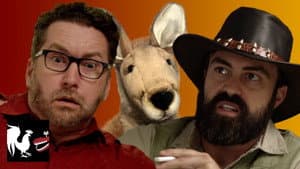 Kangaroo Attack!