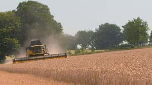 Harvest Special