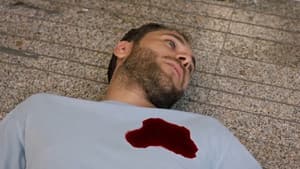 Episode 260