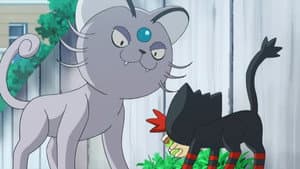 That's Why the Litten Is a Scamp!
