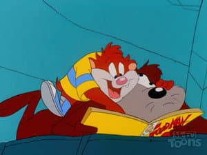 One Saturday in Taz-Mania