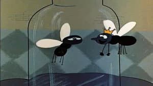 The Enchanted Fly