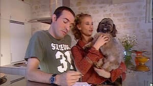 Le chien