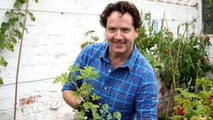 Glasshouses and Shrubs