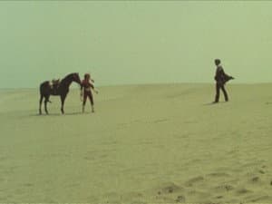 The Great Scary Desert! Two Toubeis!