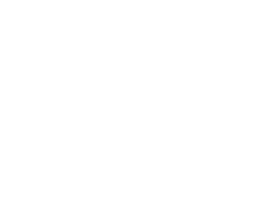 AMAIM Warrior at the Borderline