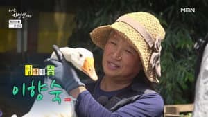 Episode 667