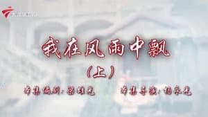 Episode 29
