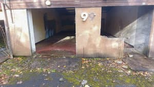 Murder in Fife