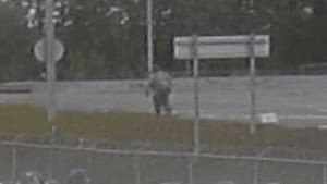 Alaska Serial Killer