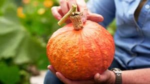 Episode 7 Autumn: Indoor Stunners & Bruny Island