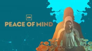 Peace of Mind
