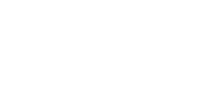 Blue Jay