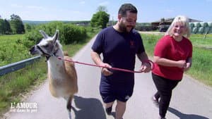 Episode 17