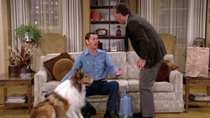 The Dog Story