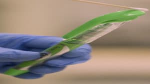 The Green Pen