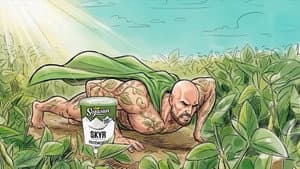 Trolling the manosphere to sell yogurt