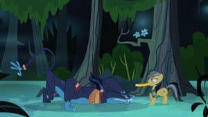 Daring Don't