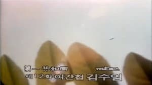 Female Agent Kim Su Im