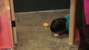 The Long Nap