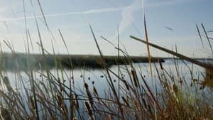 Duck Hunt | The Natural Way