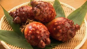 HOYA