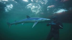 North Atlantic Special