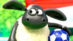 Timmy Plays Ball