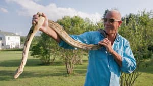 Head of the Snake