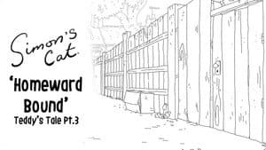 Teddy's Tale (3): Homeward Bound