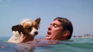 The Swimmer