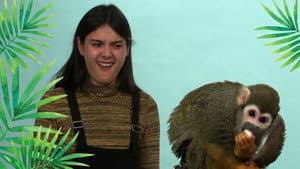 Patti Reviews Exotic Animals: Squirrel Monkley