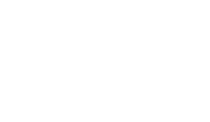 The Stepford Wives