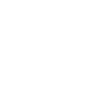 Nicky, Ricky, Dicky & Dawn